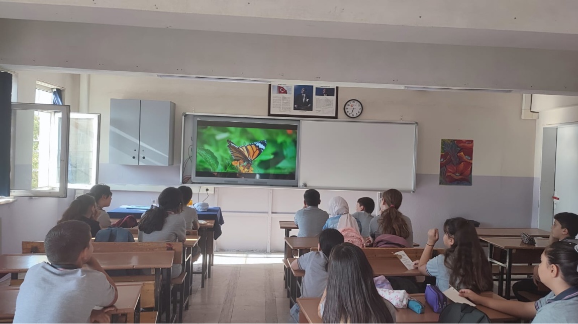 YEŞİL VATAN FİLMİ